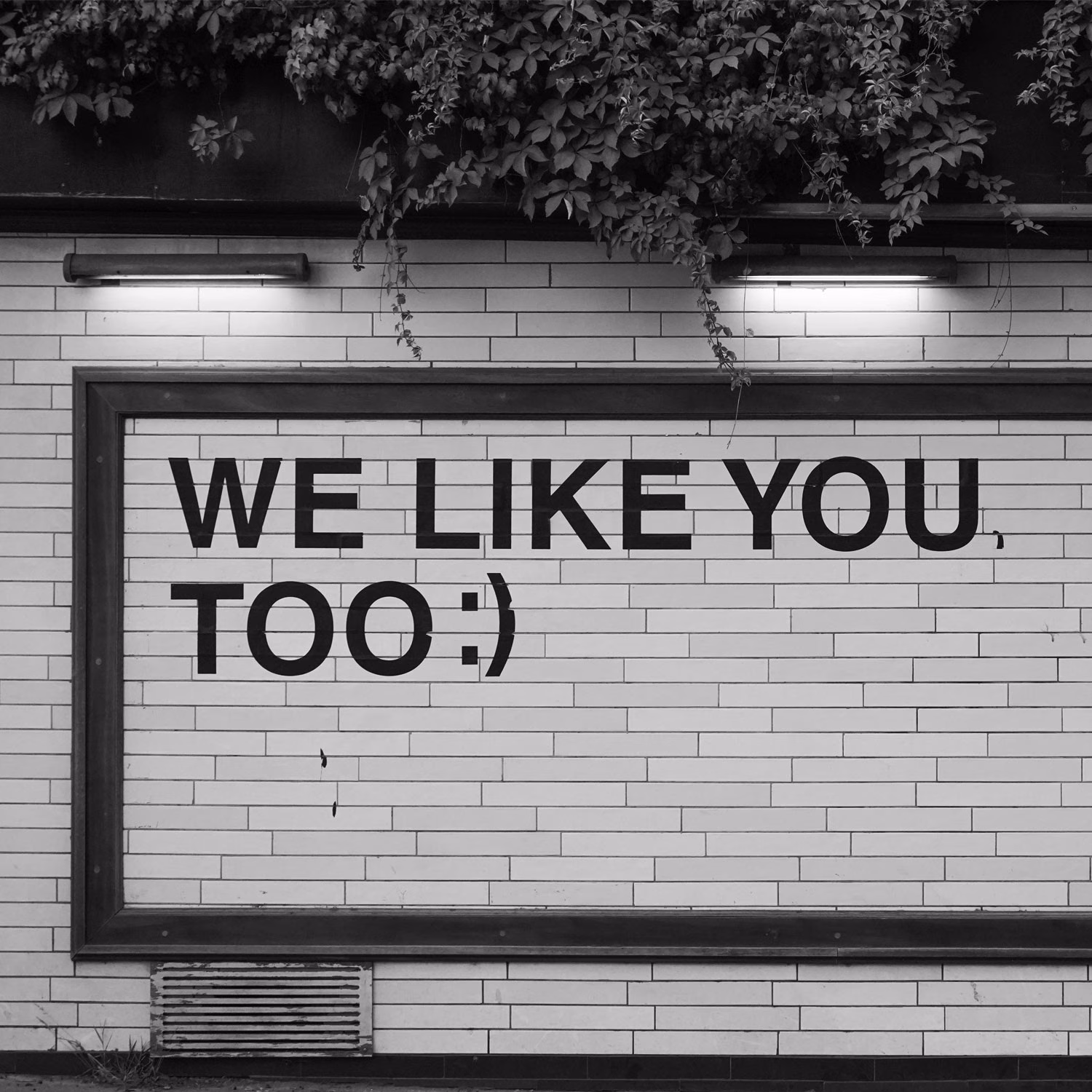 we-like-you-too